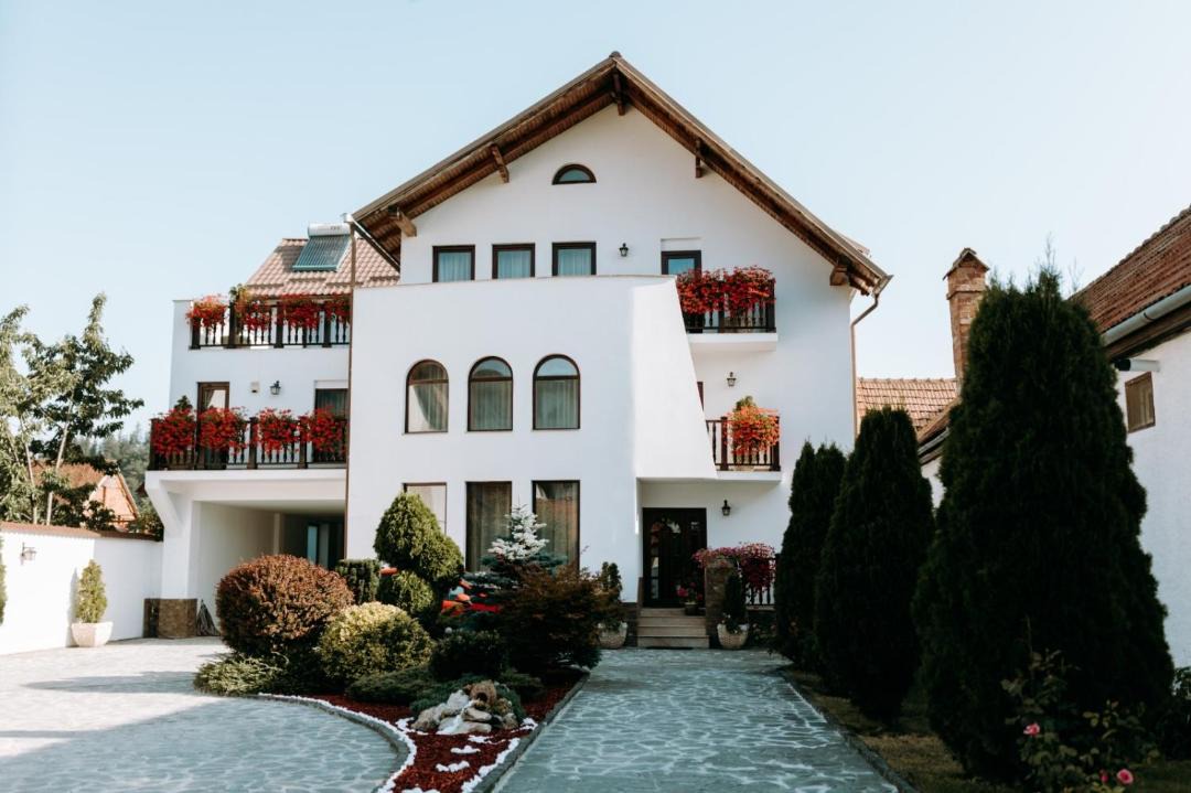 Photo of Others in Zarnesti