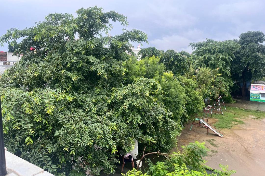 Photo of Others in Dehradun