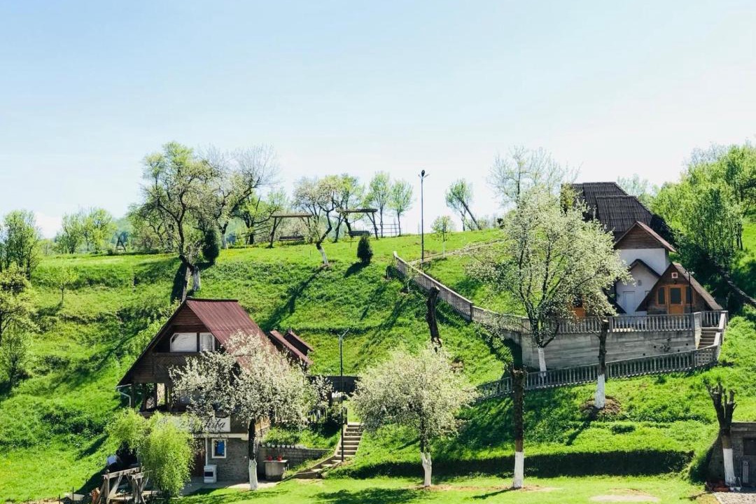Photo of Others in Poienile Izei
