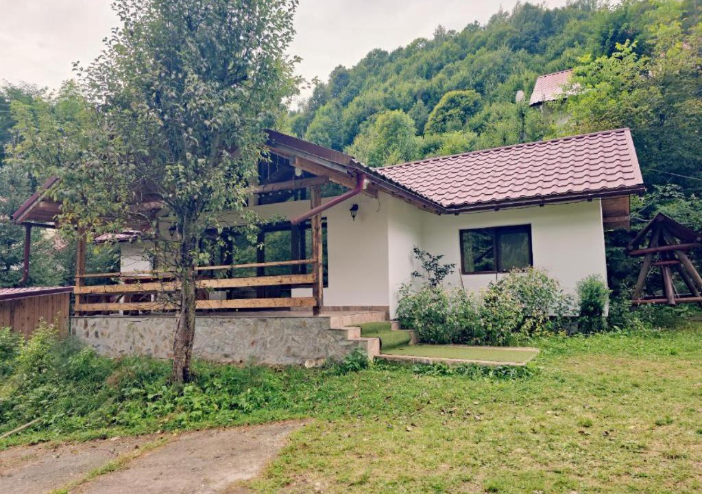 Photo of Others in Malaia