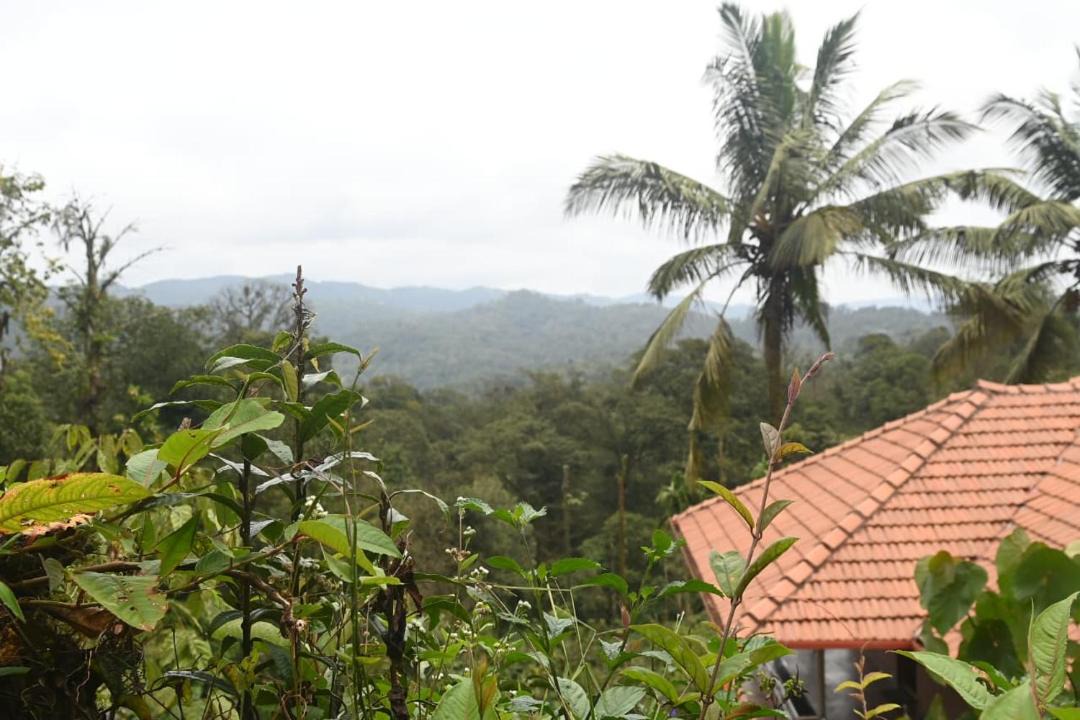 Photo of Others in Madikeri