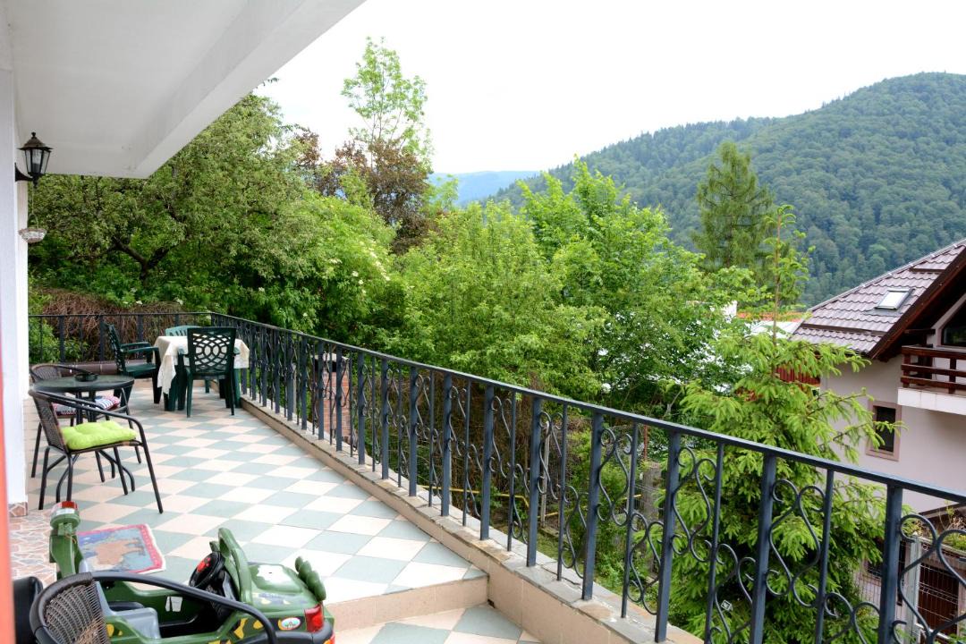 Photo of Others in Sinaia