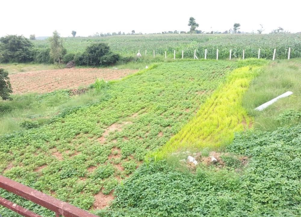 Photo of Others in Doddaballapur