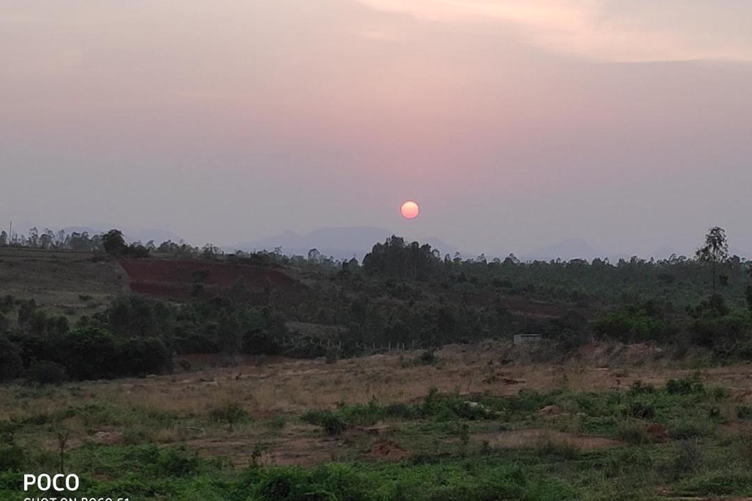 Photo of Others in Doddaballapur