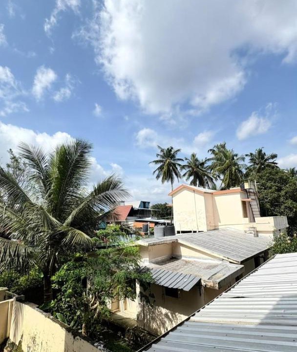 Photo of Others in Palakkad