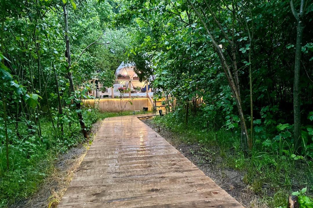 Photo of Others in Gruiu