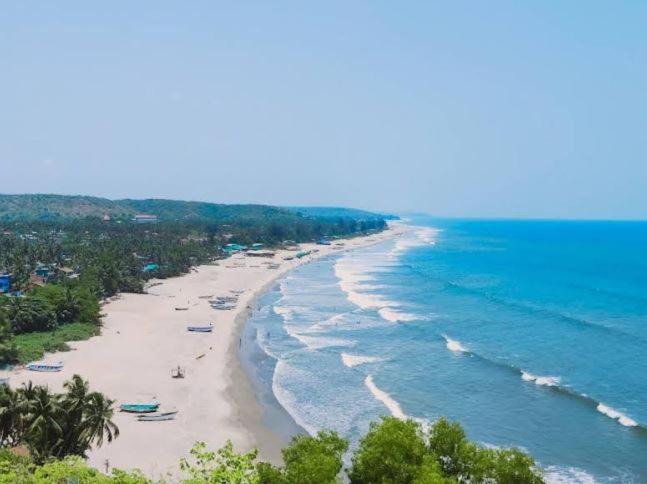 Photo of Others in Arambol