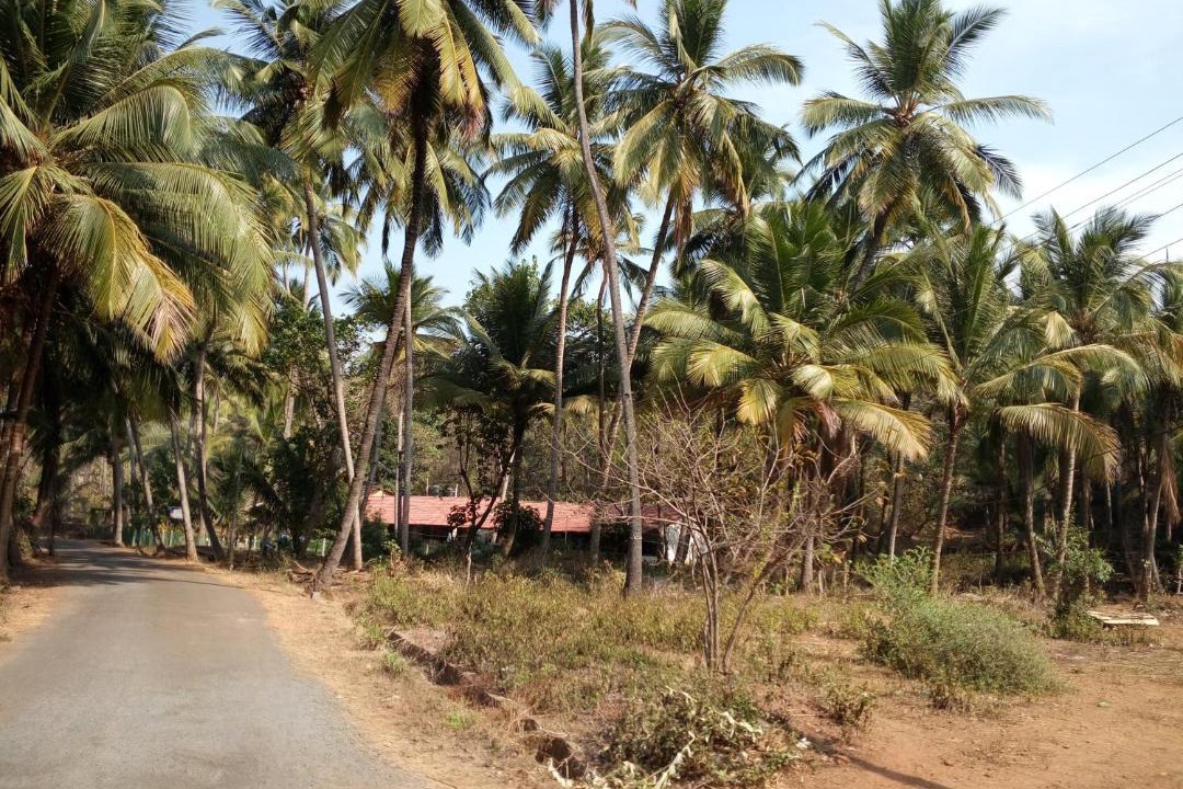 Photo of Others in Bogmolo