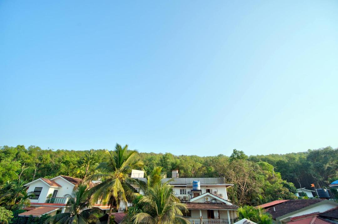 Photo of Others in Assagao