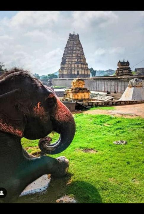 Photo of Others in Hampi