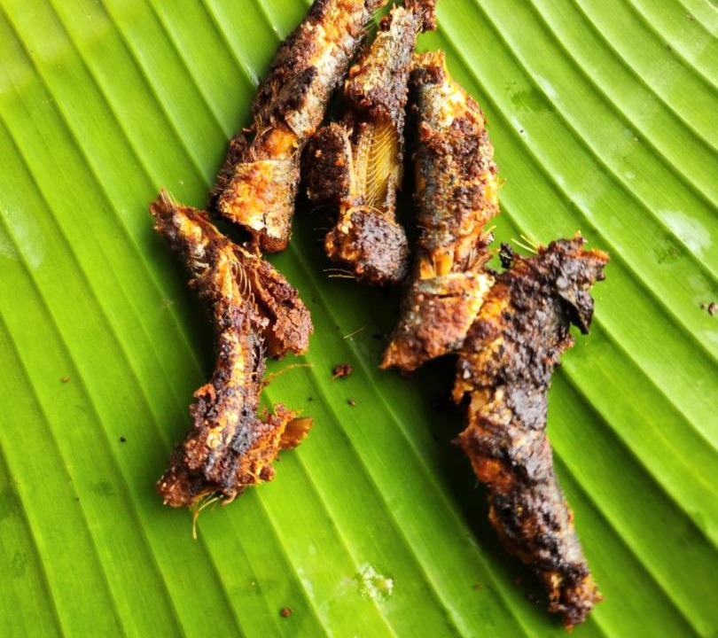 Photo of Others in Naduvattam