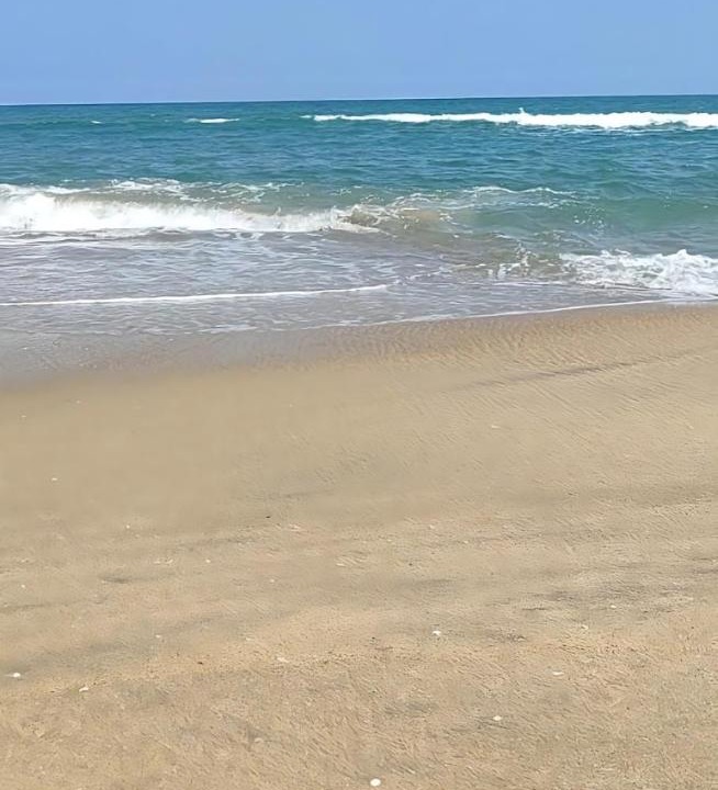 Photo of Others in Mahabalipuram Beach