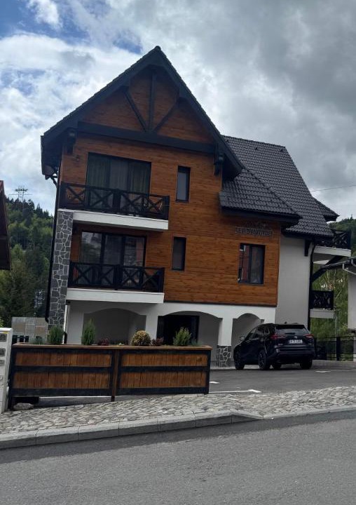 Photo of Others in Sinaia