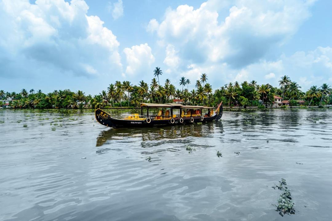 Photo of Others in Mankombu