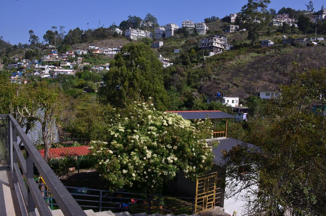 Photo of Others in Kodaikanal