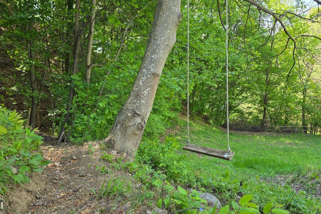 Photo of Outdoor in Baile Olanesti