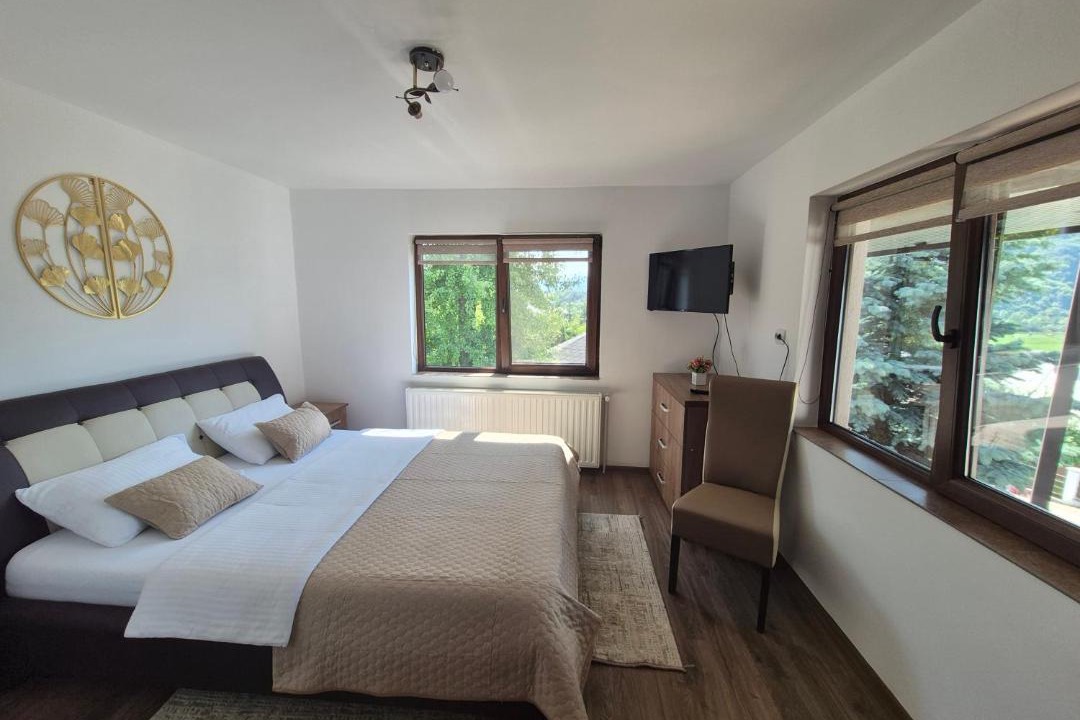 Photo of Bedroom in Rebrisoara