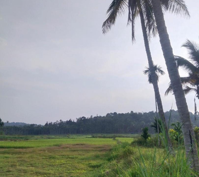 Photo of Others in Sulthan Bathery