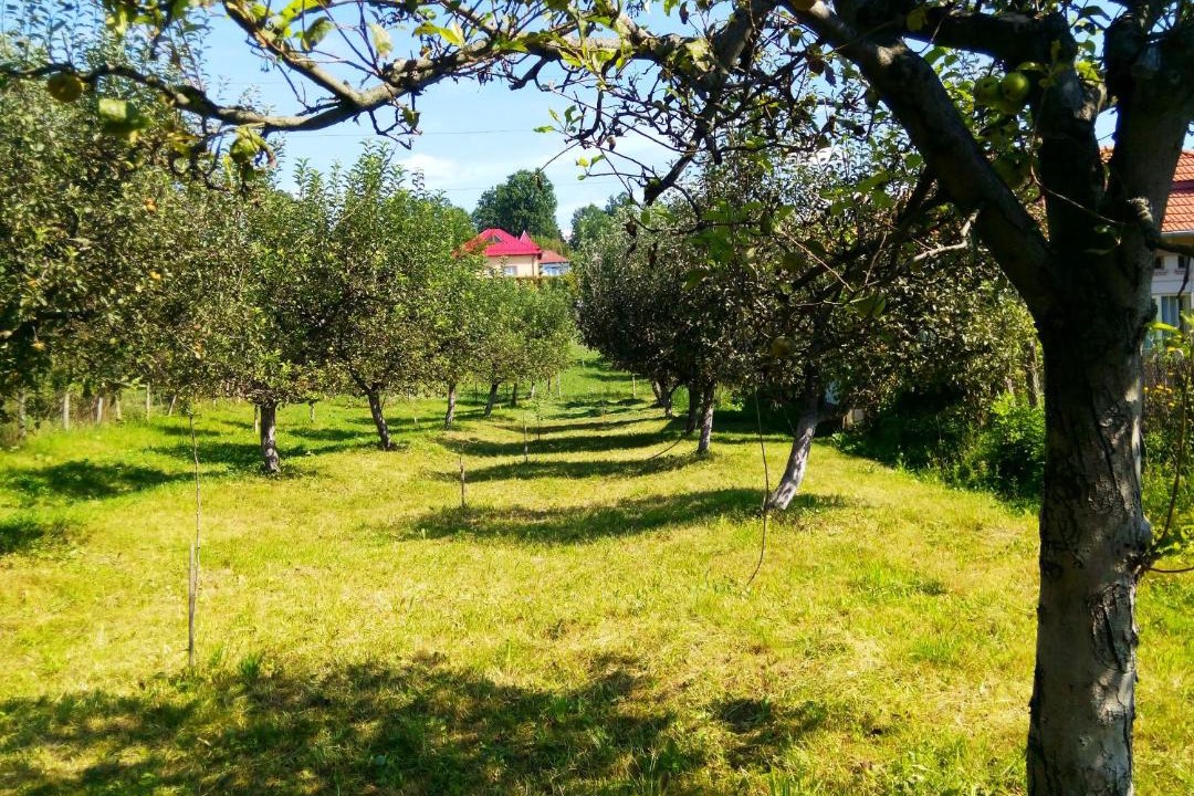 Photo of Others in Horezu