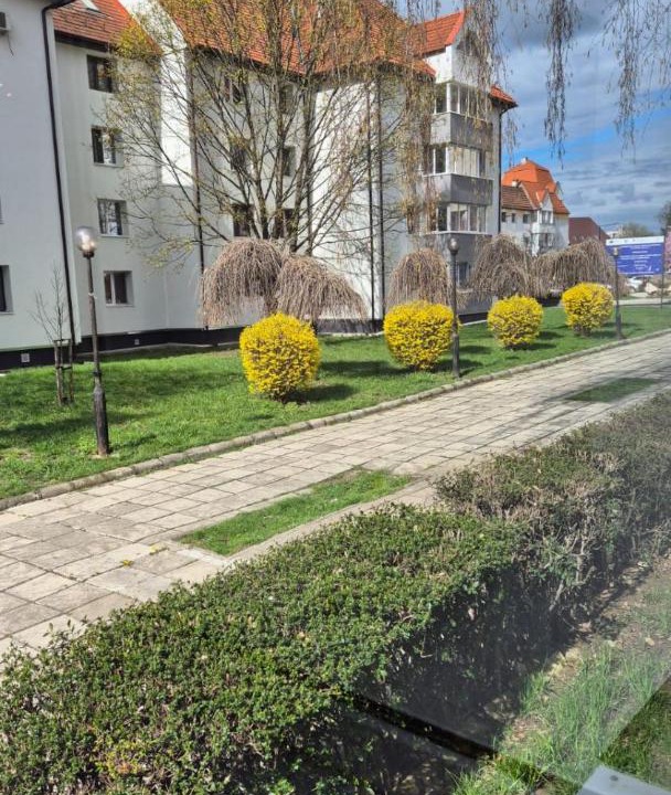 Photo of Others in Bistrita