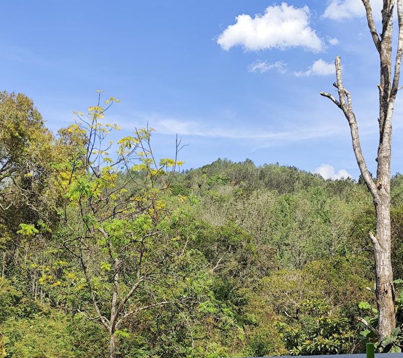 Photo of Others in Yercaud