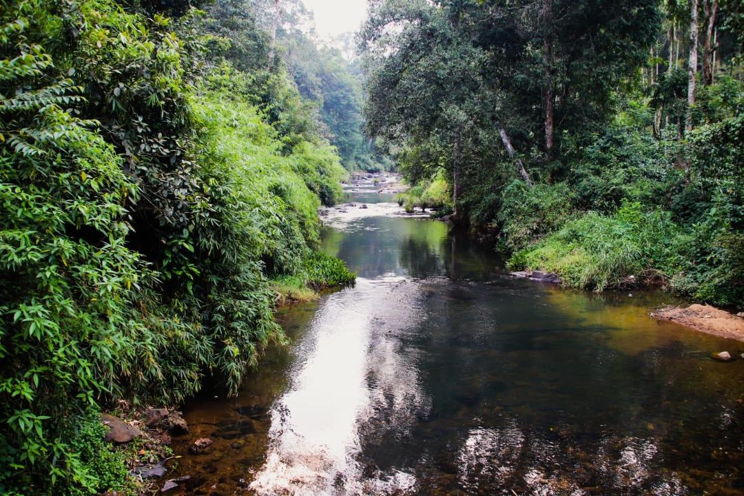 Photo of Others in Nariyandada