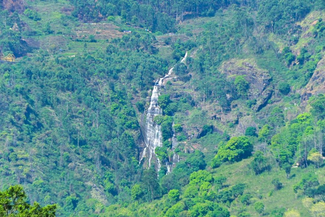 Photo of Others in Kodaikanal