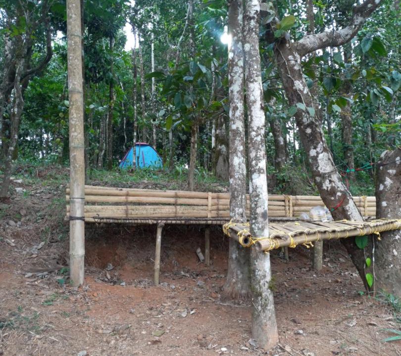 Photo of Others in Mananthavady