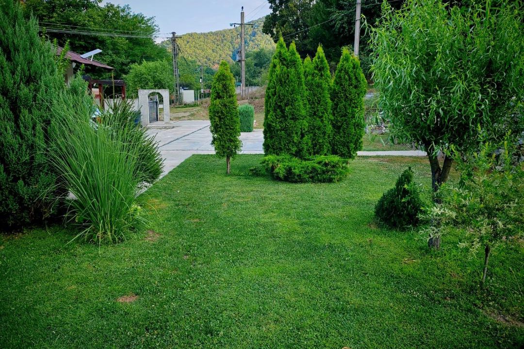 Photo of Outdoor in Izvoru Barzii