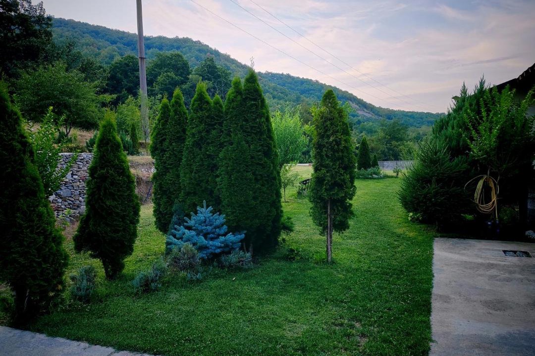 Photo of Others in Izvoru Barzii