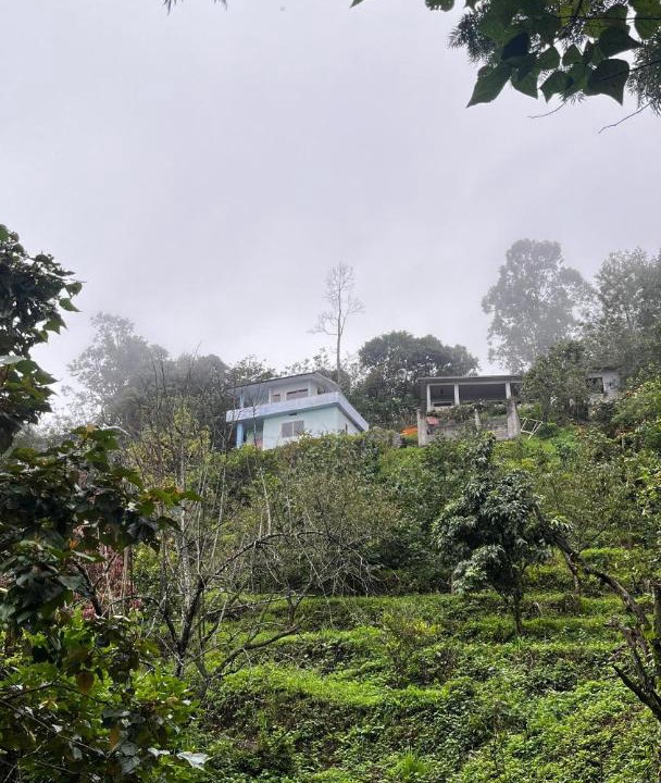 Photo of Others in Kanthalloor