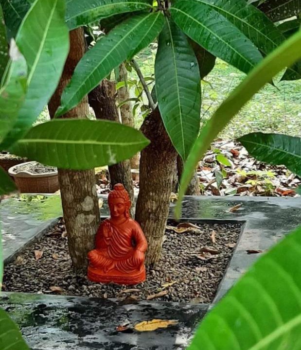 Photo of Others in Wadakanchery