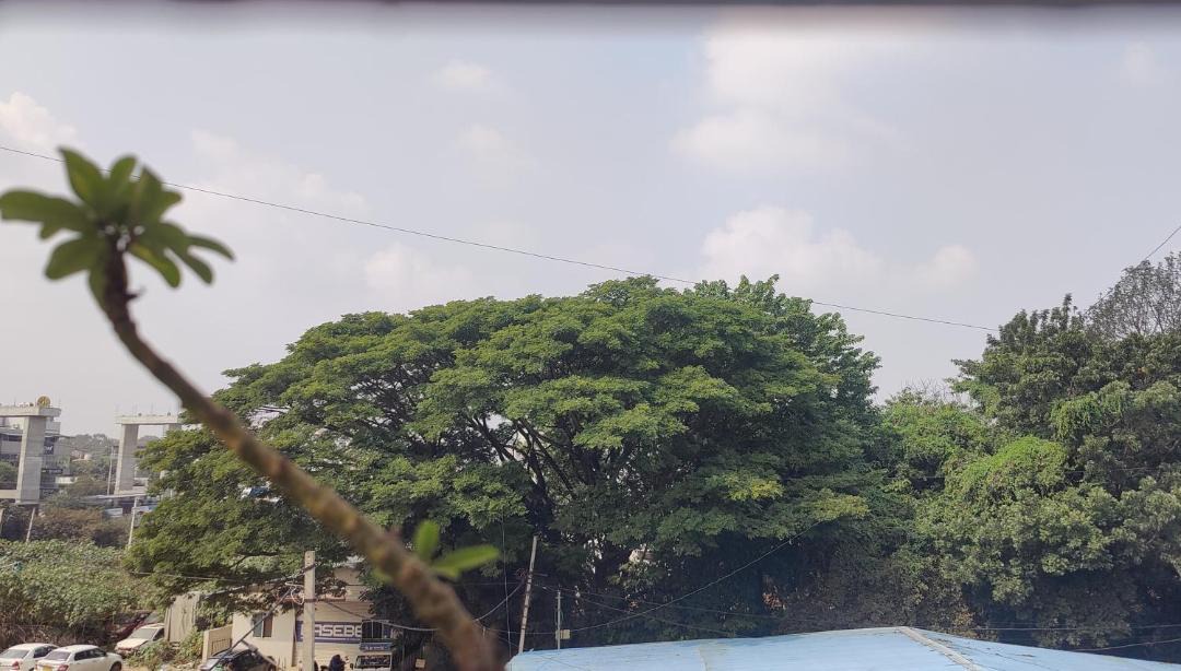 Photo of Others in Kalyan Nagar
