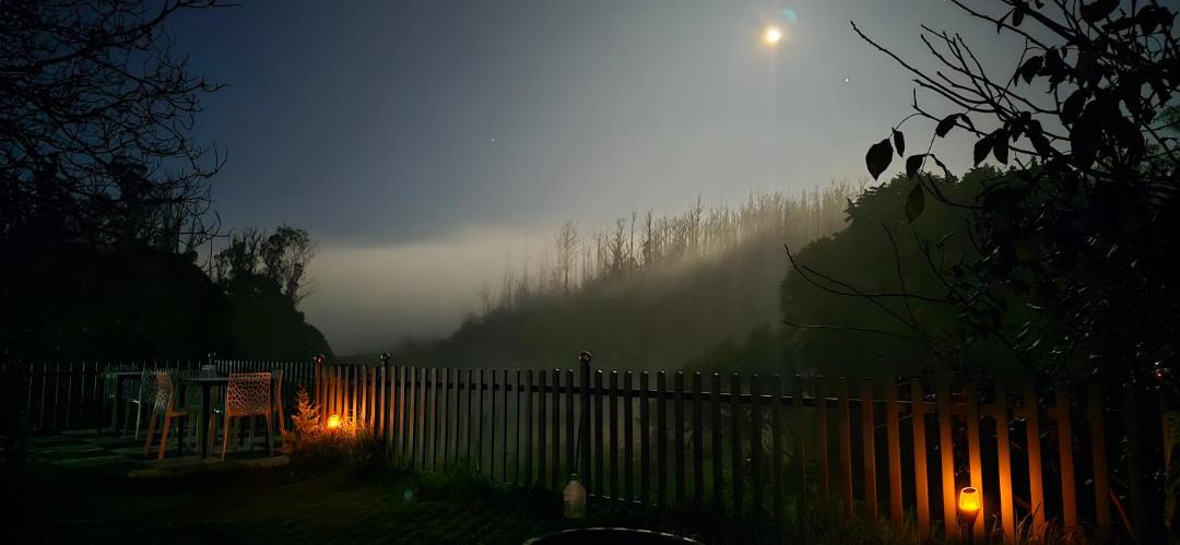 Photo of Others in Ooty