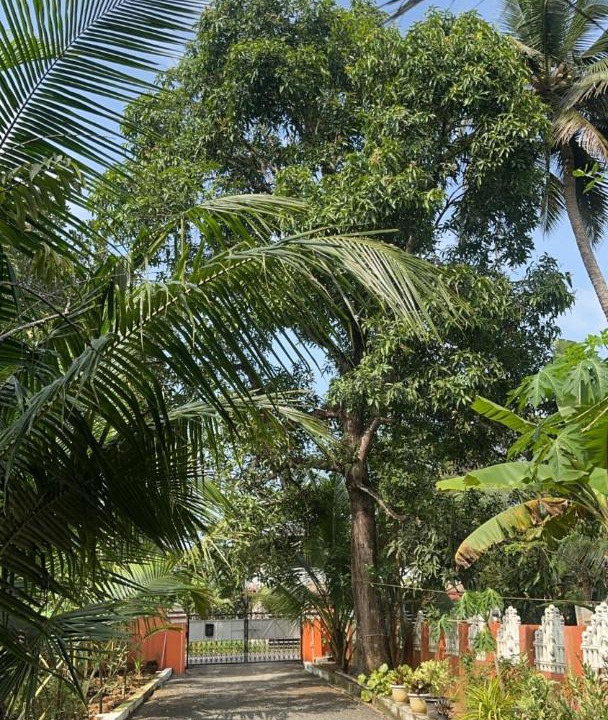 Photo of Others in Kumarakom