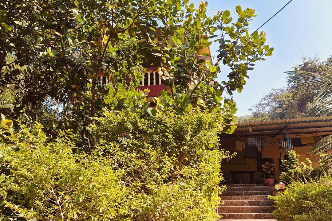 Photo of Others in Ganpatipule