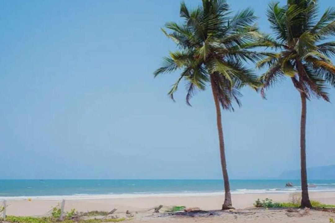 Photo of Others in Arambol