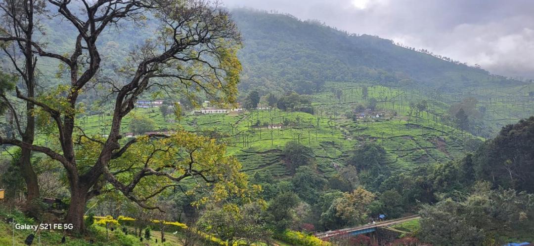 Photo of Others in Ooty