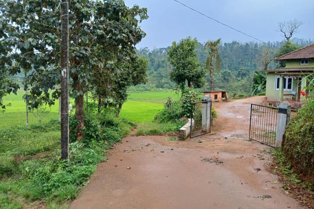 Photo of Others in Sakleshpur