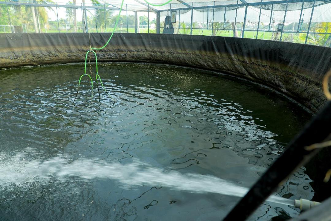 Photo of Others in Kuttanad Taluk