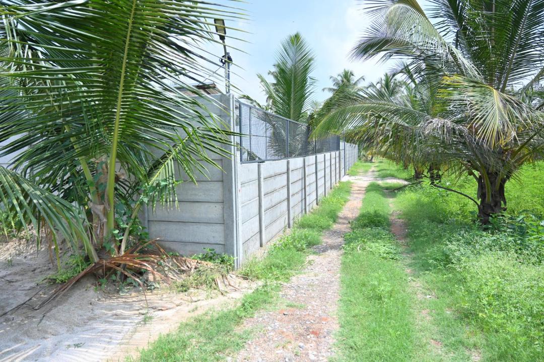 Photo of Others in Channapatna