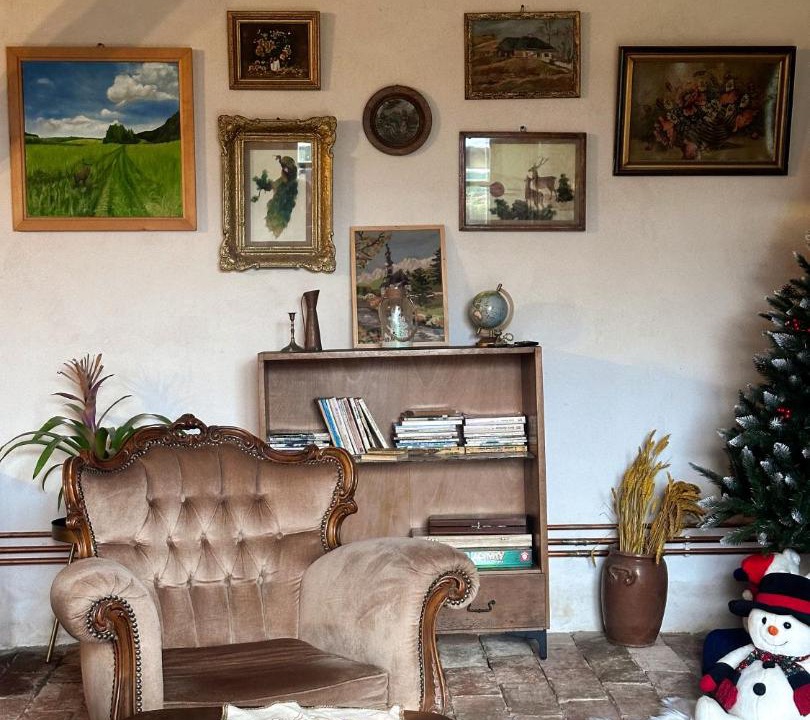 Photo of Livingroom in Saschiz