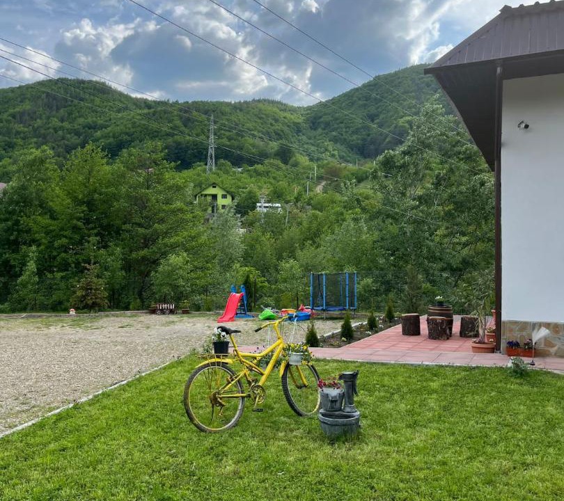 Photo of Others in Nehoiu