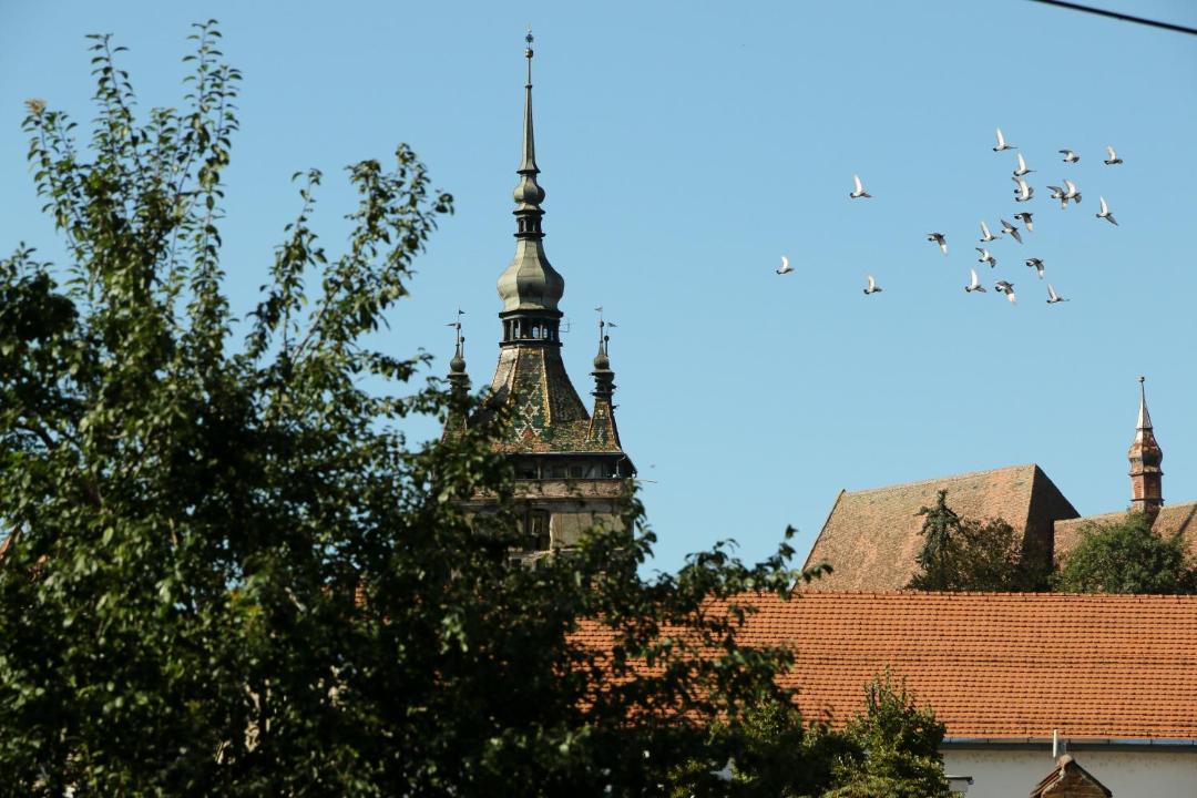 Photo of Buildings in Sighisoara