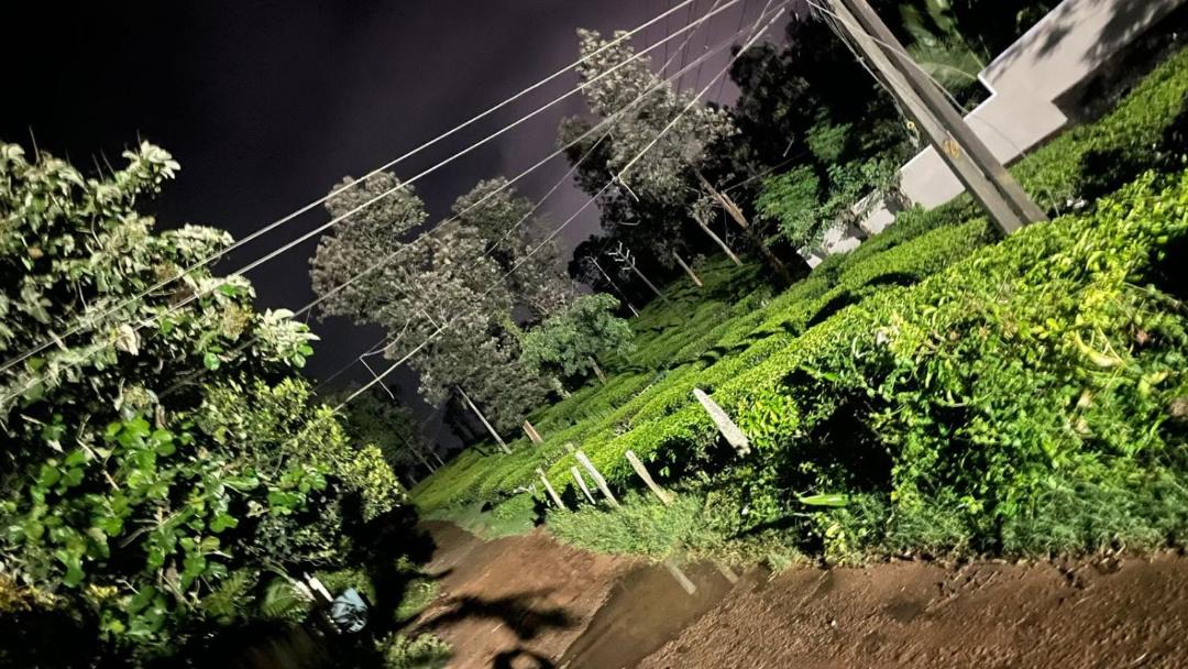 Photo of Others in Kalpetta