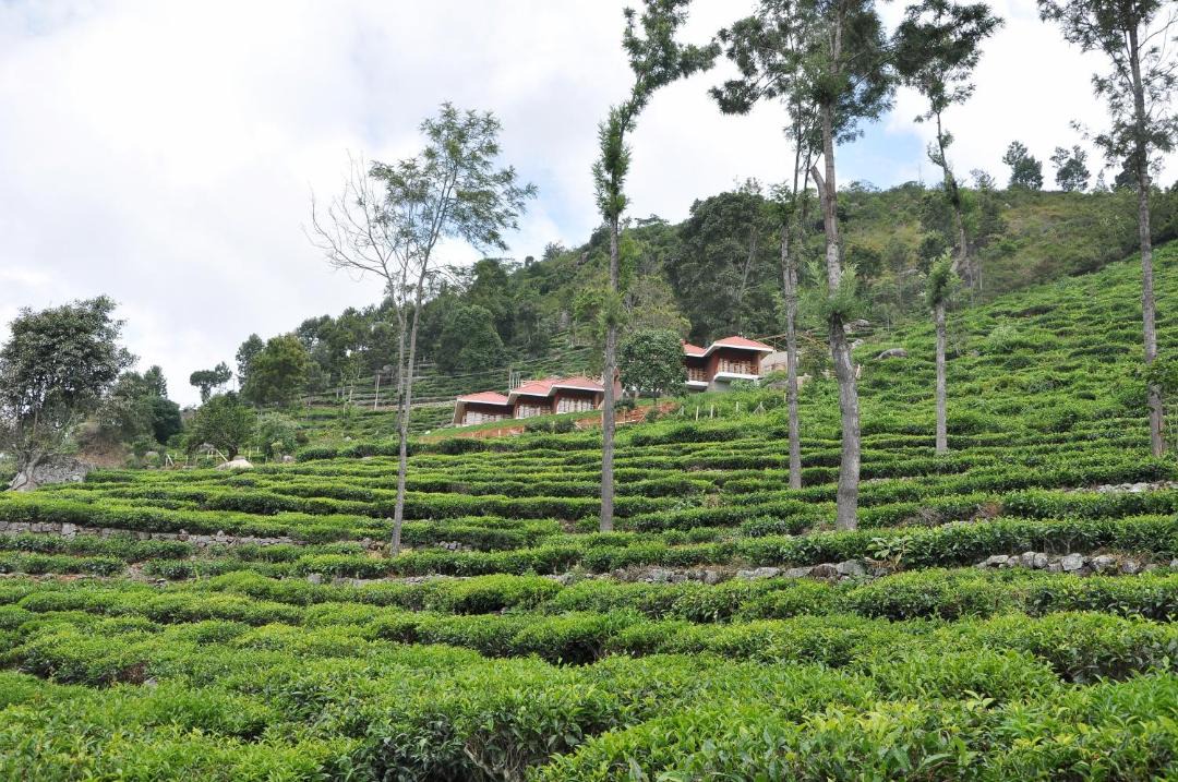 Photo of Others in Kotagiri