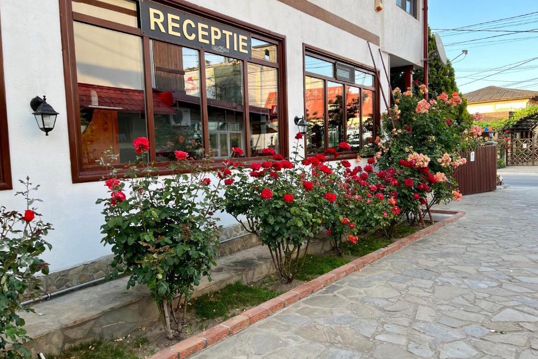 Photo of Others in Vama Veche