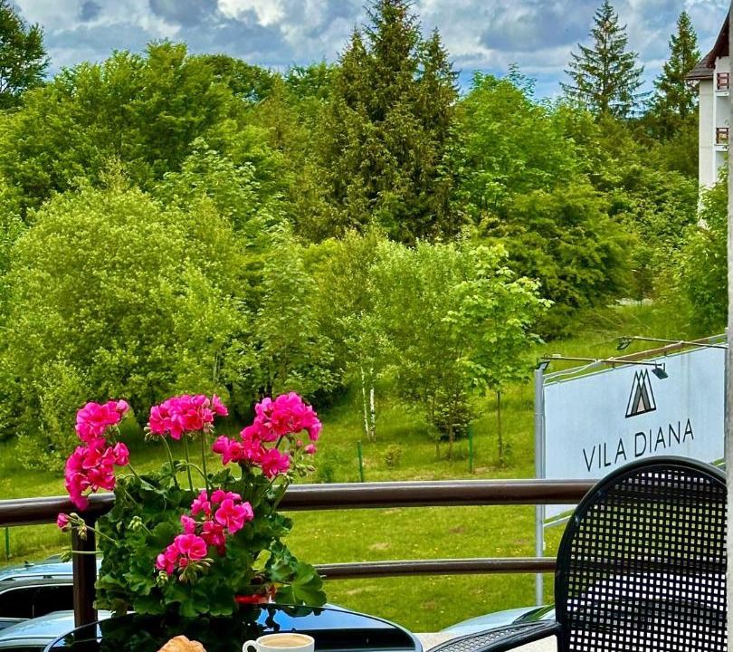 Photo of Others in Poiana Brasov