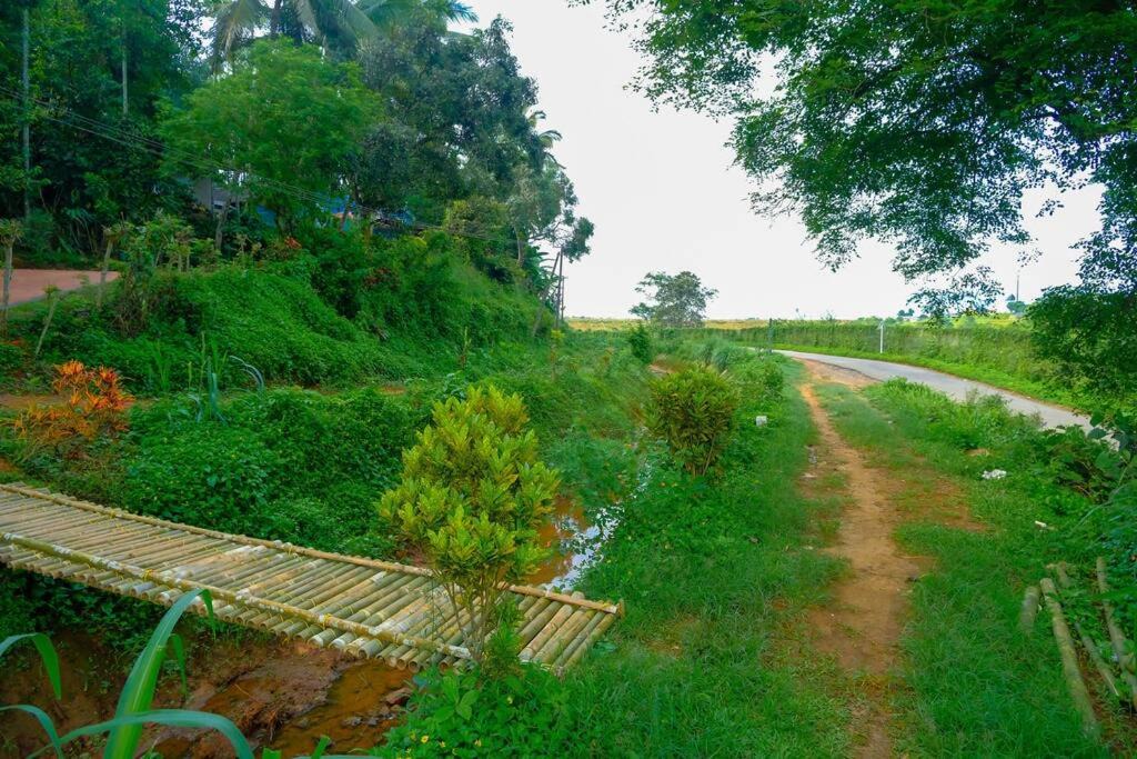 Photo of Others in Muttil South