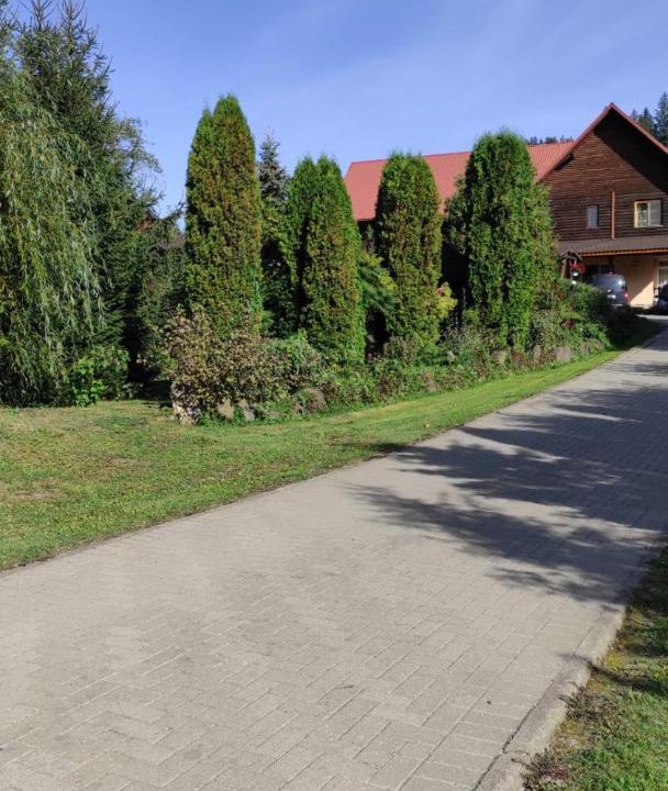 Photo of Others in Sucevita